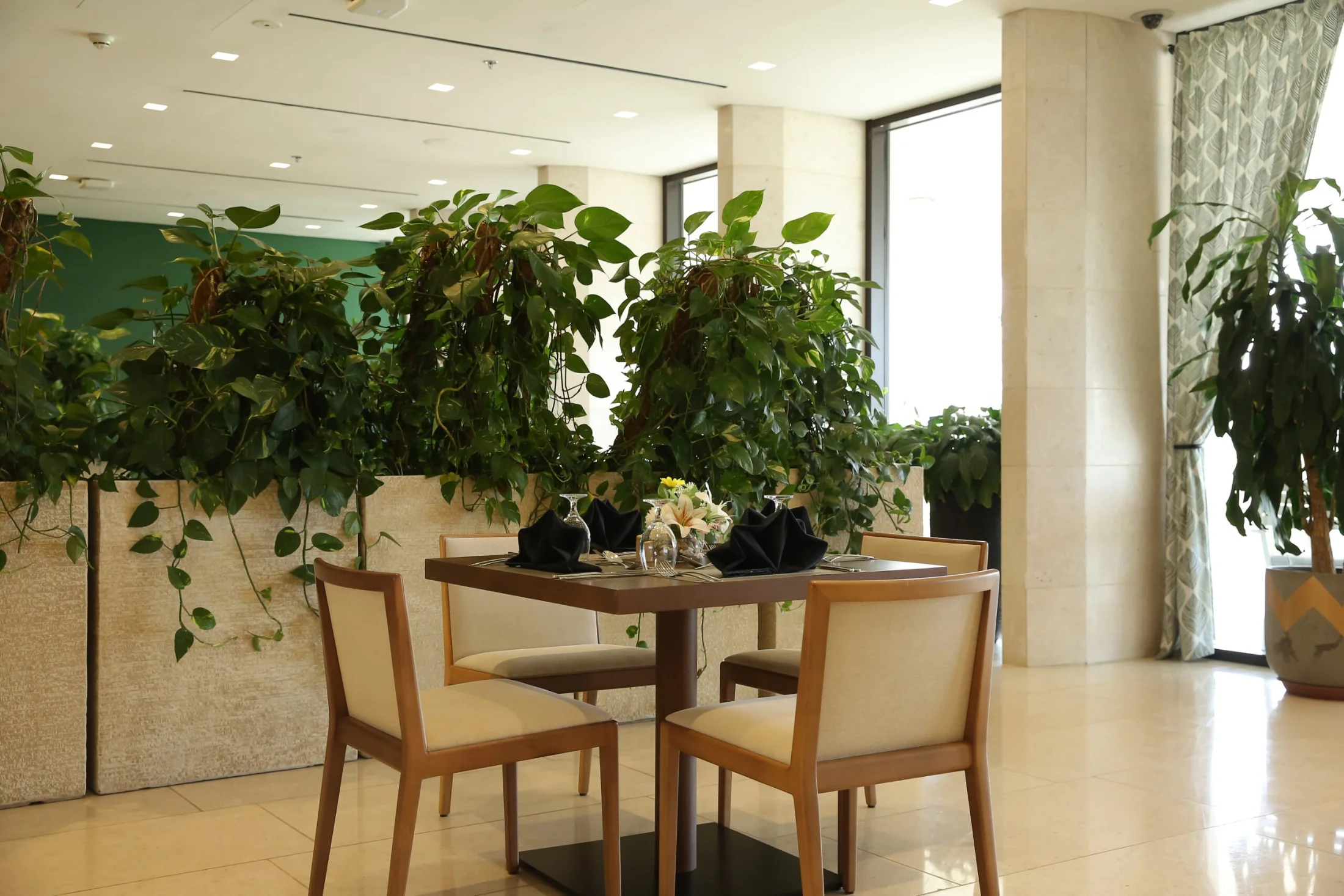 The Coffeista dining room